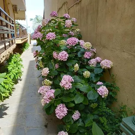 Anthoula House Fogadó