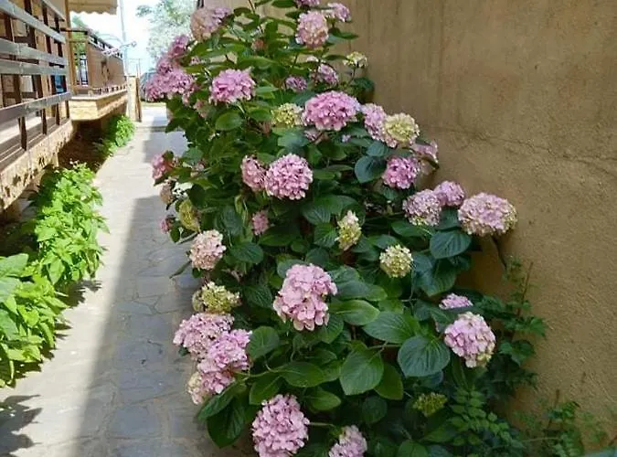 Anthoula House Locanda